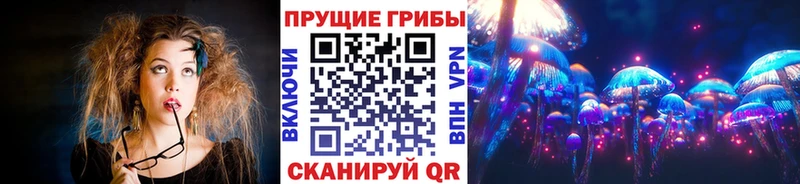 как найти закладки Темрюк Псилоцибиновые грибы мицелий